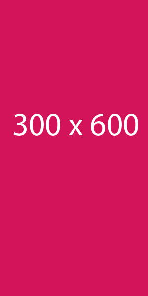 300 x 600